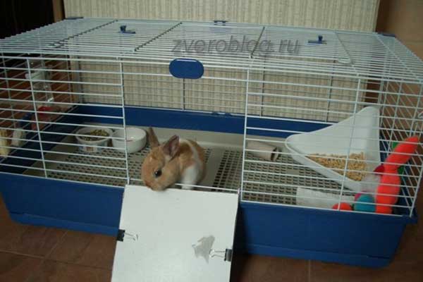 Клетка для декоративных кроликов