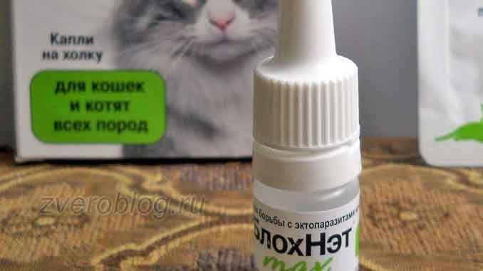 Отзыв о применении препарата БлохНэт для кошек